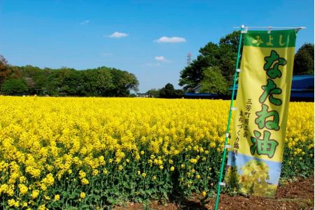 みよしなたね油2本(1.2kg)セット FAA-107