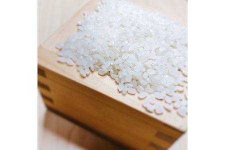 【令和7年度産　新米】埼玉県産　彩のきずな　１０キロ（５キロ×２袋）