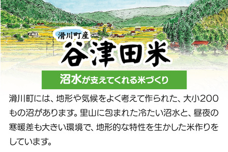 【白米】埼玉県滑川産のお米「谷津田米」5kg 令和6年産 埼玉県認証特別栽培