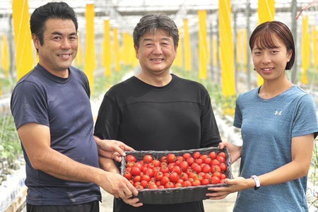 中玉トマト（フルティカ）1kg 埼玉県産 トマト