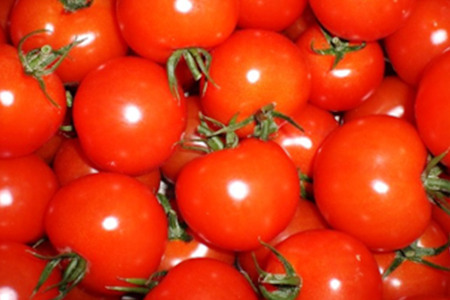 中玉トマト（フルティカ）1kg 埼玉県産 トマト