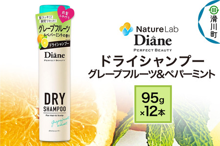Diane ダイアン パーフェクトビューティー ドライシャンプー 95g グレープフルーツ&ペパーミント×12点セット