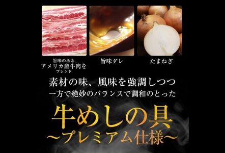 【3ヵ月定期便】牛丼 松屋 プレミアム仕様 牛めしの具 10個 冷凍 セット