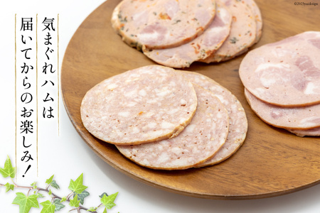 ハム 詰め合わせ 普段使い セット 計470g [デリカテッセン アーチャン 埼玉県 小川町 202]