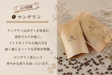 コーヒー 豆 2種セット 定期便 12回 200g×2袋 [MARRON MOUNTAIN 埼玉県 小川町 309]