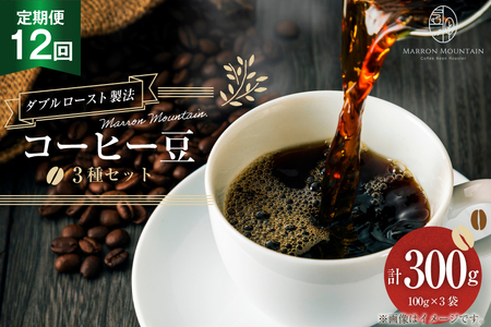 定期便 12回 コーヒー豆 3種セット 100g×3袋 [MARRON MOUNTAIN 埼玉県 小川町 306]