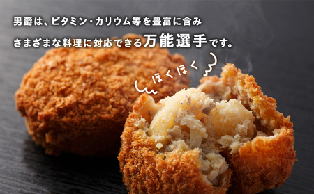 【2026年発送 先行予約】じゃがいも2種 馬鈴薯（男爵5kg＆きたかむい3kg）Ｌサイズ 合計8kｇ＜JAようてい＞