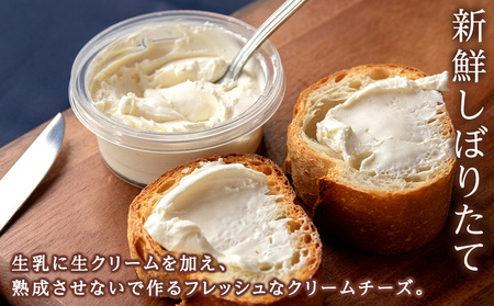 【TVで紹介】クリームチーズ 2個セット<トワ・ヴェール>