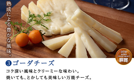 チーズ4種セット クリーム・カマンベール・ ゴーダ・スプレッド（カシス） 各1個 セット