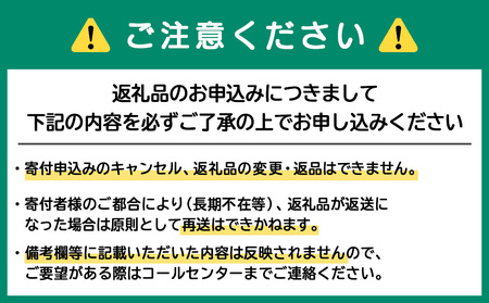 北海道産 もち米 ＜きたゆきもち＞3㎏