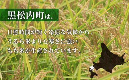 北海道産 もち米 ＜きたゆきもち＞4㎏