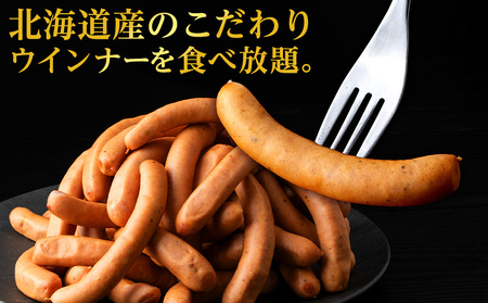 【大容量】トワ・ヴェールの荒挽きウインナー(約1㎏・40本)黒松内町特産物手づくり加工センター