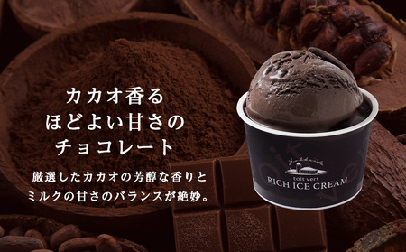 リッチアイスクリーム カカオ香るほどよい甘さのチョコレート 15個セット（100ml）