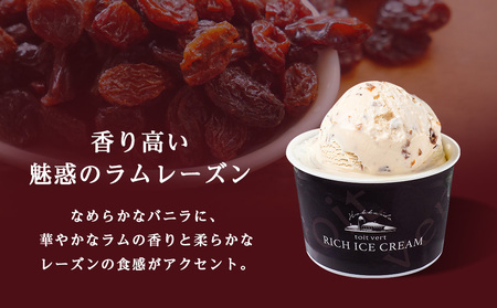 リッチアイスクリーム 香り高い魅惑のラムレーズン 8個セット（100ml）