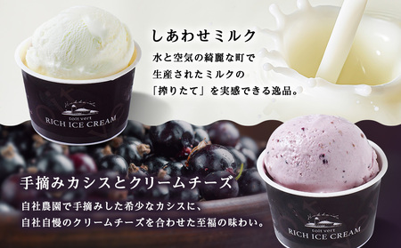 リッチアイスクリーム 8個セット（100ml）【 4種 × 各2個】