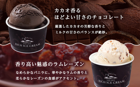 リッチアイスクリーム 16個セット（100ml）【 4種 × 各4個】