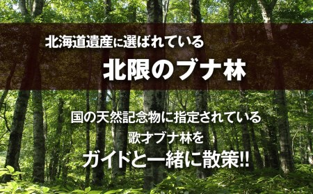 黒松内町観光協会「北限のブナ林ガイドウォーク」(1時間半)2名様 体験チケット