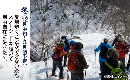黒松内町観光協会「北限のブナ林ガイドウォーク」(1時間半)2名様 体験チケット