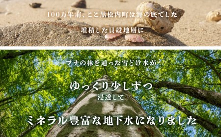 【定期便 3カ月】黒松内銘水 水彩の森 2L×12本（2箱）北海道 ミネラルウォーター