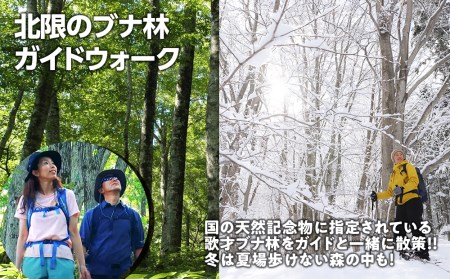 黒松内 アクティビティチケット 3000円分利用券