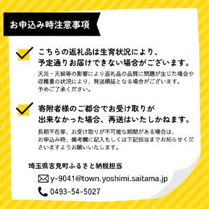 特選「吉見いちご」【べにたま】