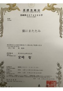 一級技能士が作るインテリア畳「猫にまたたみ」 