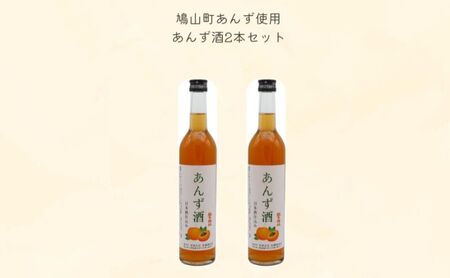 あんず酒2本セット 果実酒 リキュール お酒 アルコール 日本酒仕込み フルーティー 酸味 香り 甘さ控えめ 後味すっきり 食事 リフレッシュ 鳩山町 