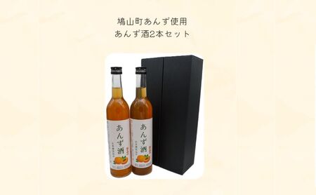 あんず酒2本セット 果実酒 リキュール お酒 アルコール 日本酒仕込み フルーティー 酸味 香り 甘さ控えめ 後味すっきり 食事 リフレッシュ 鳩山町 