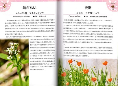 中澤利雄 著作 書籍 私の植物 なかま たち 埼玉県鳩山町 ふるさと納税サイト ふるなび 中澤利雄 著作 書籍 私の植物 なかま たち 埼玉県鳩山町 ふるさと納税サイト ふるなび