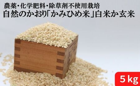 自然のかおり「かみひめ米」白米か玄米 5kg 白米