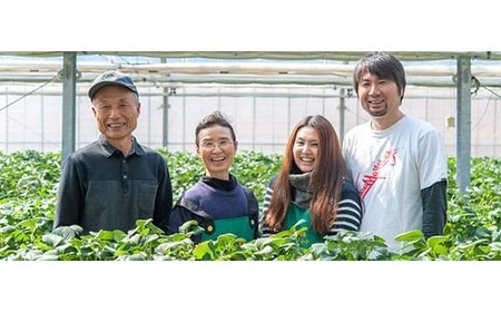 いちご【数量限定】 あまりん 250g×2パック 合計500g |イチゴ いちご