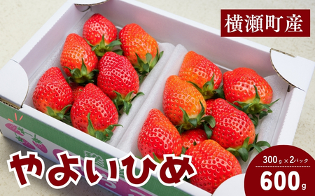 いちご やよいひめ 300g×2パック 合計600g | イチゴ いちご