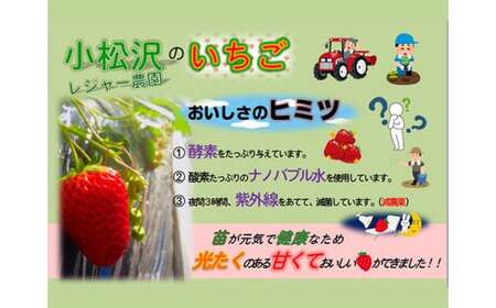 いちご やよいひめ 300g×2パック 合計600g | イチゴ いちご