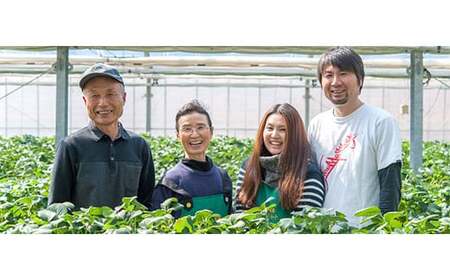 【数量限定】埼玉県限定いちご「あまりん」 1ホール（横瀬町・おきうね農園）