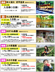 横瀬町Specialクーポン券(10枚)