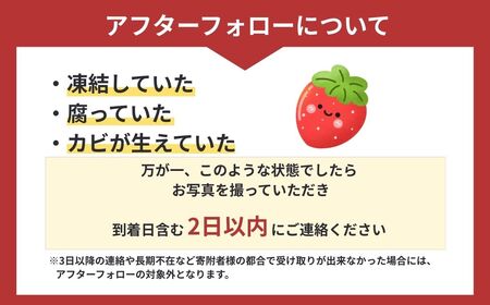 いちご「あまりん（赤）」と「淡雪（白）」各1パック250g 合計500g｜イチゴ いちご