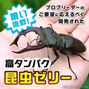 プロゼリー　約500個入り　_昆虫ゼリー 高タンパク 昆虫 飼育_【1201217】