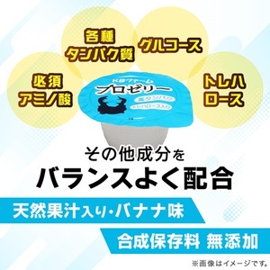 プロゼリー　約500個入り　_昆虫ゼリー 高タンパク 昆虫 飼育_【1201217】