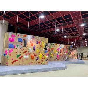 クライミングパーク神怡舘利用券(大人60歳未満)×11枚セット【1205061】