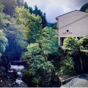 【蜂蜜酒】ミード 秩父小鹿野百花 300ml ふるさと納税限定品 無濾過 ハニーワイン お酒_蜂蜜酒 ミード 秩父 小鹿野百花_【1308925】