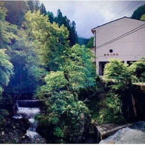 【蜂蜜酒】ミード 秩父小鹿野百花 300ml×5本 ふるさと納税限定品 無濾過 ハニーワイン お酒【1308980】