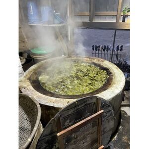 フルーツ日本茶スパークリングティーセット【1375296】