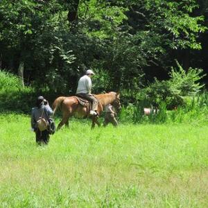 乗馬体験と馬とのふれあいコース　1名【1427725】