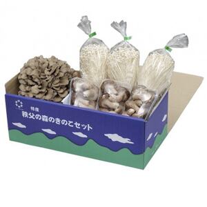 秩父の森のきのこセット【配送不可地域：離島】【1485007】