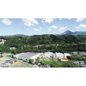 秩父の森のきのこセット【配送不可地域：離島】【1485007】