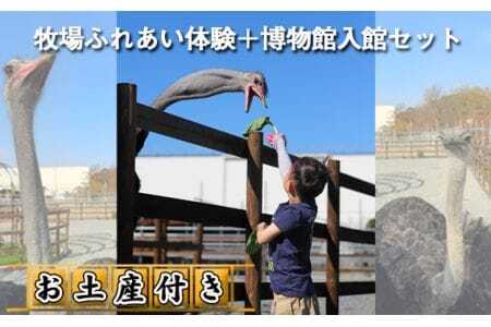 牧場ふれあい体験＋博物館入館セット【お土産付き】  [No.210]