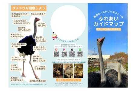 牧場ふれあい体験＋博物館入館セット【お土産付き】  [No.210]