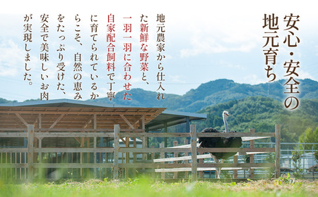 国産オーストリッチ外モモ肉700g ／ オーストリッチ肉 ダチョウ肉 赤身肉 ドラム肉 外腿肉 低脂肪 高タンパク 高栄養価 ヘルシー 臭みなし 柔らか 食べやすい タタキ しゃぶしゃぶ レアステーキ 埼玉県 特産  [No.057]
