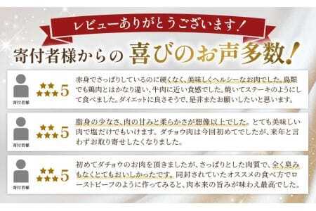 国産オーストリッチフィレ肉700g  [No.066]