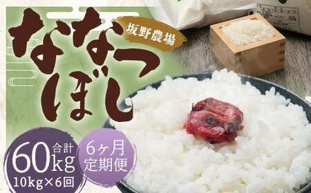 【6ヶ月定期便】らんこし米 ななつぼし 10kg(5kg×2袋)【2024年9月下旬発送開始予定】